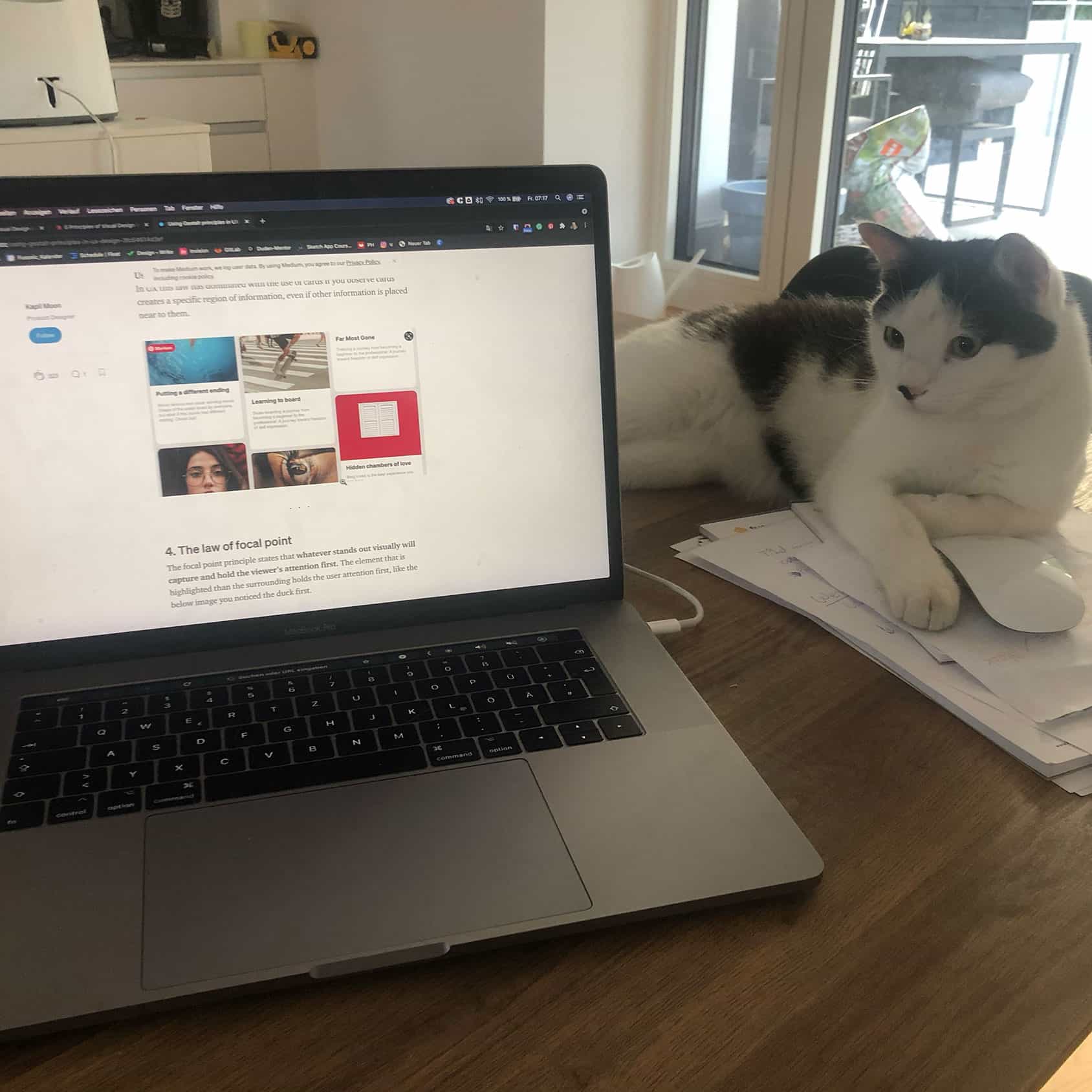 Viktoria beim arbeiten während ihre Katze zusieht